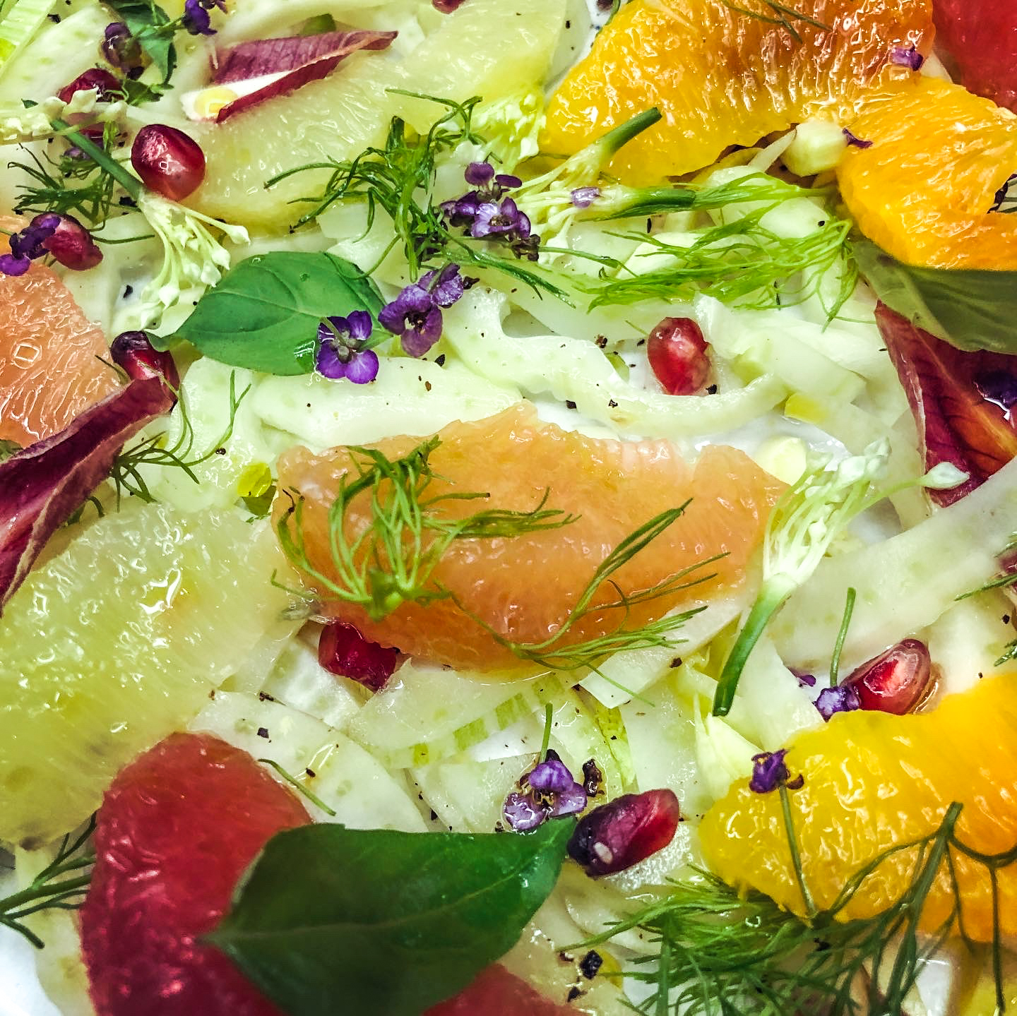 Fenchel Salat mit Zitrus, Radicchio, Oliven und Gorgonzola | Richard Kägi