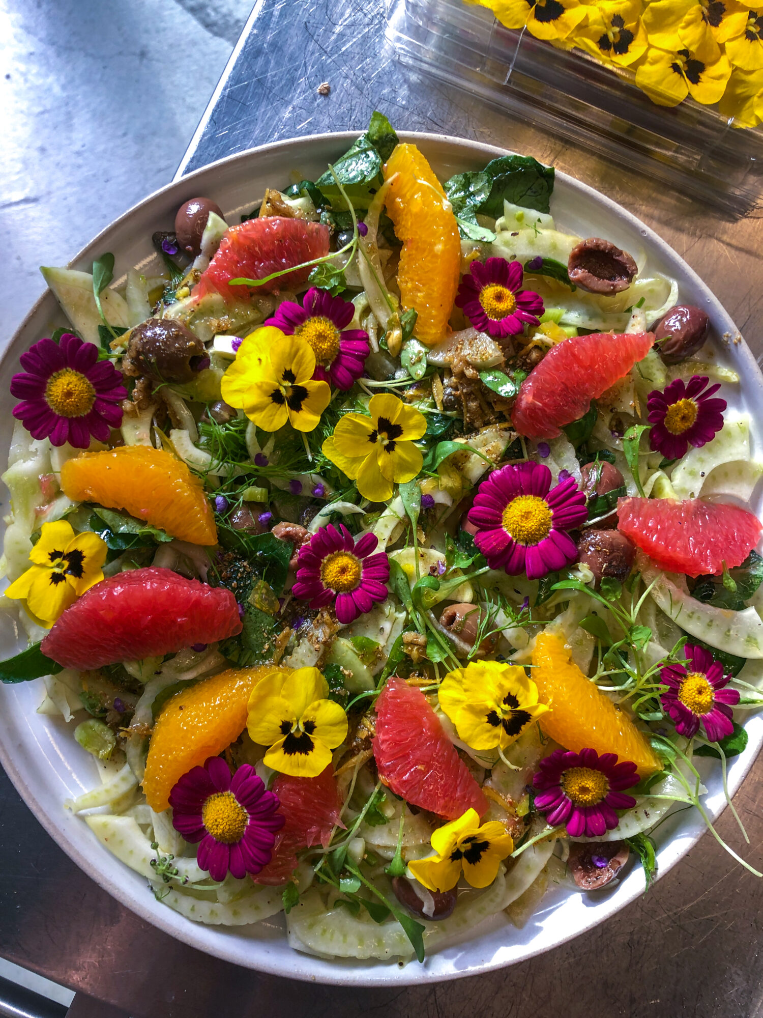 Fenchel Salat mit Zitrus, Radicchio, Oliven und Gorgonzola | Richard Kägi